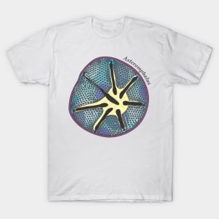 Diatom - Asteromphalus (scientific, color) T-Shirt